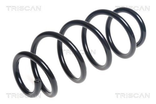 TRISCAN Spirálrugó 875013224_TRIS