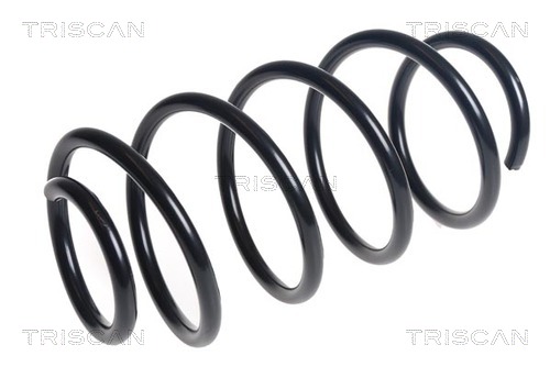 TRISCAN Spirálrugó 875016129_TRIS