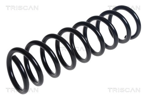 TRISCAN Spirálrugó 875016143_TRIS