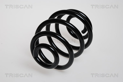 TRISCAN Spirálrugó 87501676_TRIS