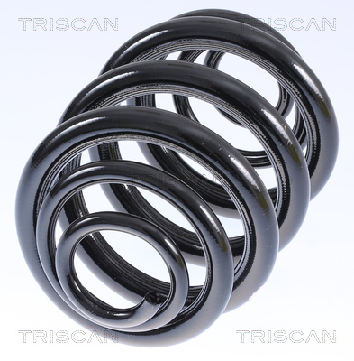 TRISCAN Spirálrugó 875029040_TRIS