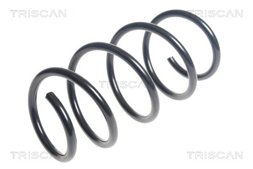 TRISCAN Spirálrugó 875029435_TRIS