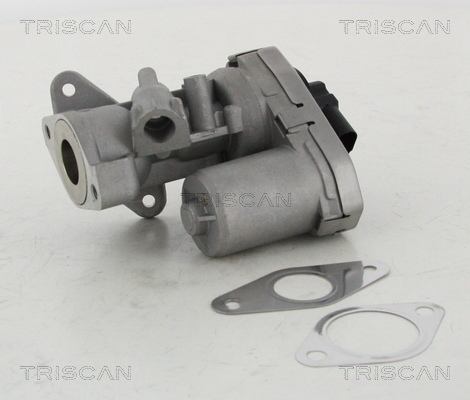 TRISCAN EGR szelep 881310002_TRIS