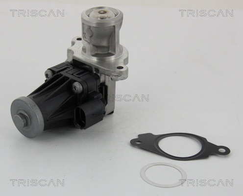 TRISCAN EGR szelep 881310004_TRIS