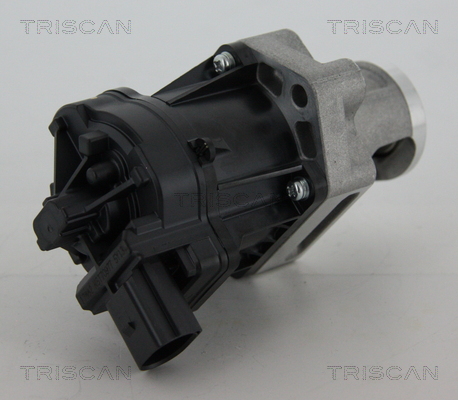 TRISCAN EGR szelep 881310006_TRIS