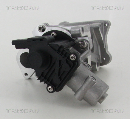 TRISCAN EGR szelep 881310007_TRIS