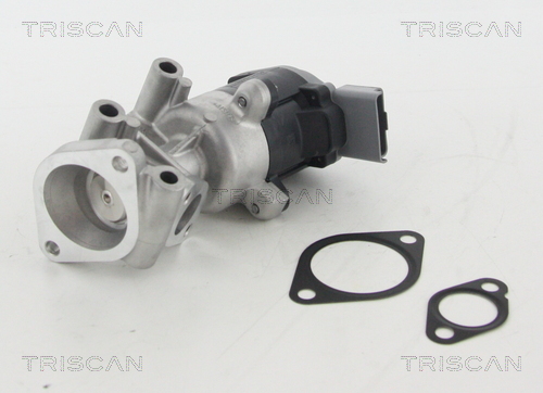 TRISCAN EGR szelep 881310009_TRIS