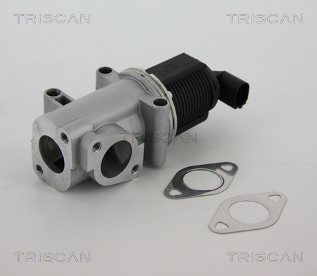 TRISCAN EGR szelep 881310015_TRIS