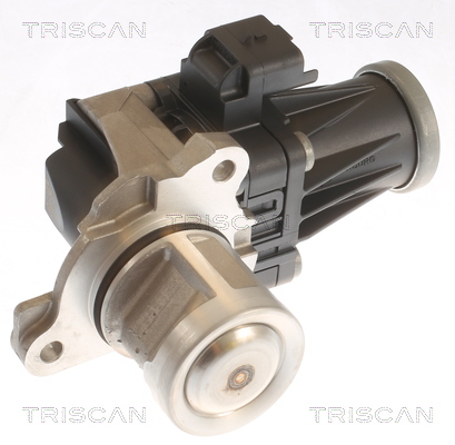 TRISCAN EGR szelep 881310053_TRIS