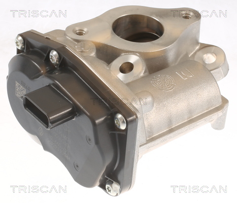 TRISCAN EGR szelep 881310055_TRIS