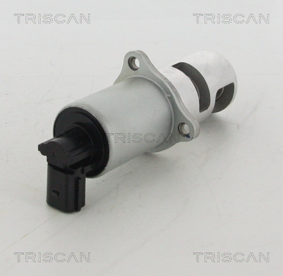 TRISCAN EGR szelep 881310100_TRIS