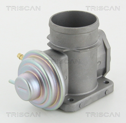 TRISCAN EGR szelep 881310101_TRIS