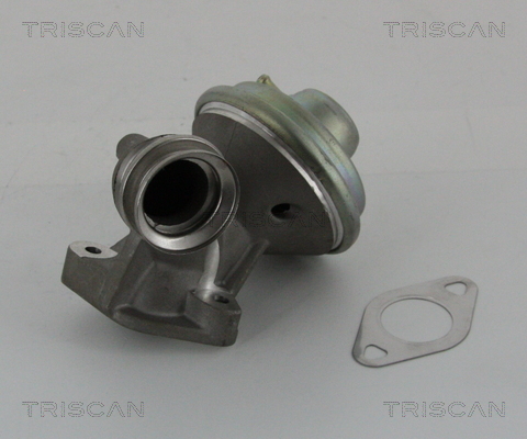 TRISCAN EGR szelep 881310102_TRIS