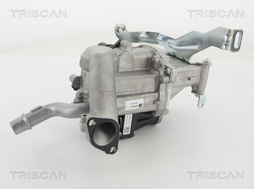 TRISCAN EGR szelep 881310103_TRIS