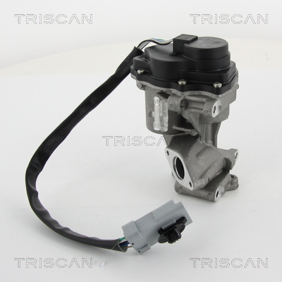 TRISCAN EGR szelep 881310202_TRIS