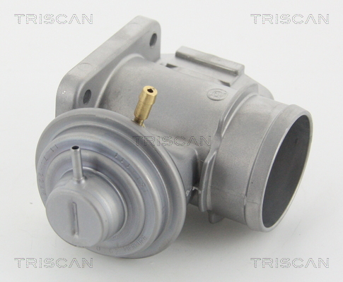 TRISCAN EGR szelep 881310210_TRIS