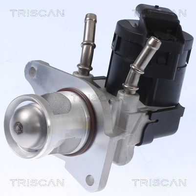 TRISCAN EGR szelep 881311001_TRIS