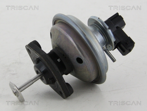 TRISCAN EGR szelep 881311002_TRIS