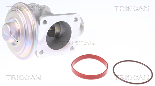 TRISCAN EGR szelep 881311004_TRIS