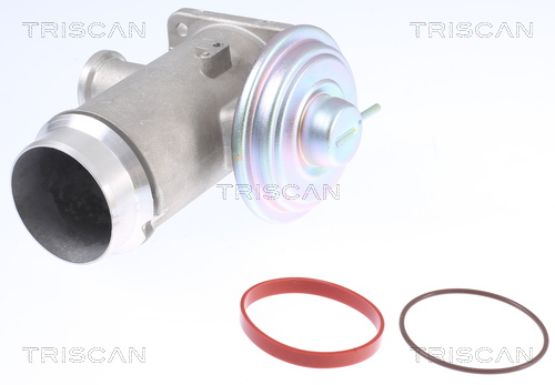 TRISCAN EGR szelep 881311102_TRIS