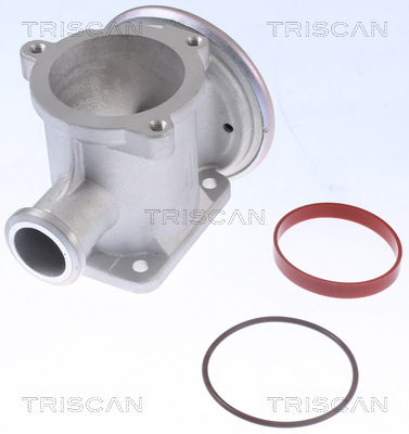 TRISCAN EGR szelep 881311105_TRIS