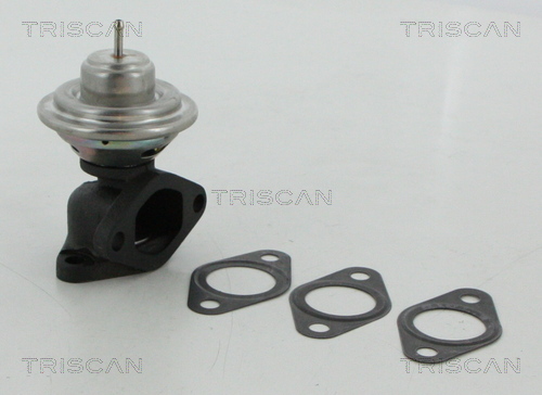 TRISCAN EGR szelep 881312100_TRIS