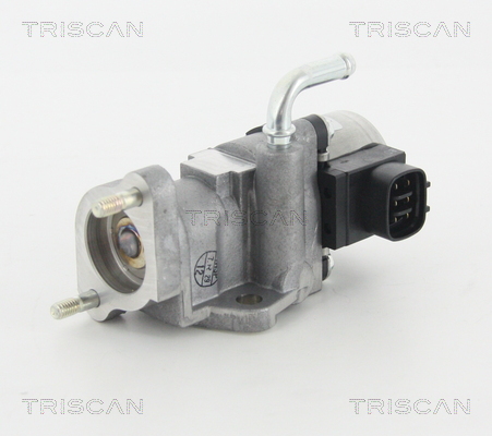 TRISCAN EGR szelep 881313002_TRIS