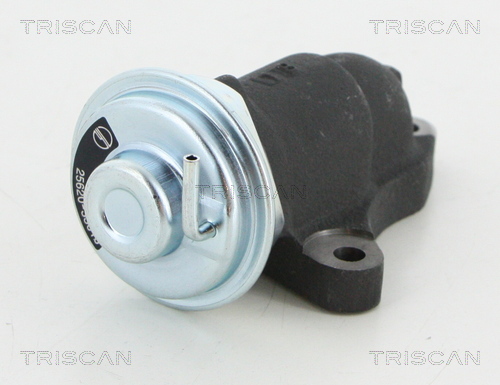 TRISCAN EGR szelep 881313064_TRIS