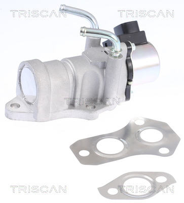 TRISCAN EGR szelep 881313201_TRIS