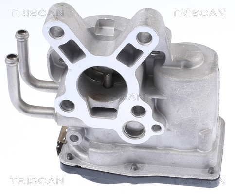 TRISCAN EGR szelep 881314010_TRIS