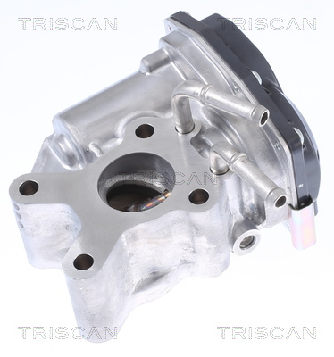 TRISCAN EGR szelep 881314015_TRIS