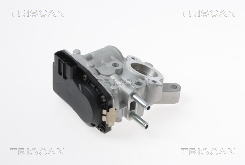 TRISCAN EGR szelep 881314100_TRIS