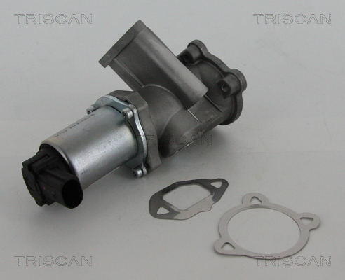 TRISCAN EGR szelep 881315069_TRIS