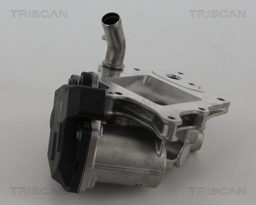 TRISCAN EGR szelep 881315205_TRIS