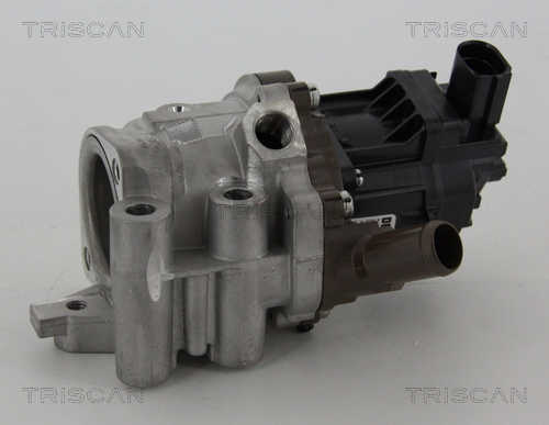 TRISCAN EGR szelep 881315207_TRIS