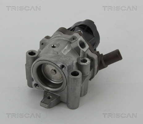 TRISCAN EGR szelep 881315208_TRIS