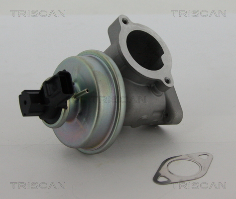 TRISCAN EGR szelep 881316012_TRIS