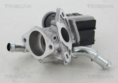 TRISCAN EGR szelep 881316036_TRIS