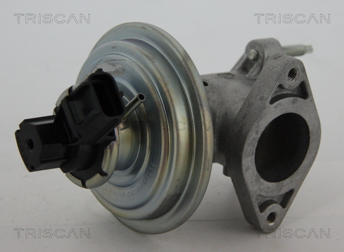 TRISCAN EGR szelep 881316043_TRIS