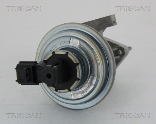 TRISCAN EGR szelep 881316045_TRIS