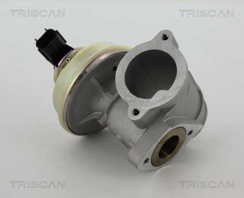 TRISCAN EGR szelep 881316102_TRIS