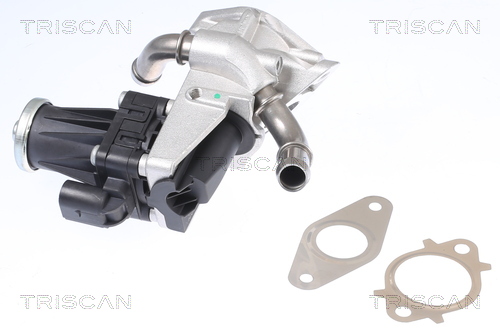 TRISCAN EGR szelep 881316150_TRIS