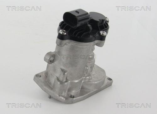 TRISCAN EGR szelep 881316151_TRIS