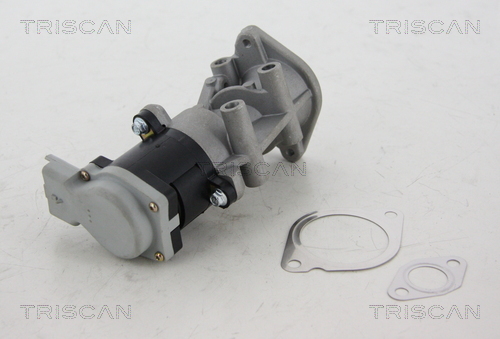 TRISCAN EGR szelep 881317008_TRIS