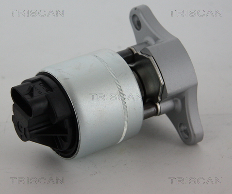 TRISCAN EGR szelep 881321006_TRIS