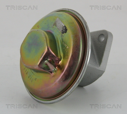 TRISCAN EGR szelep 881321007_TRIS