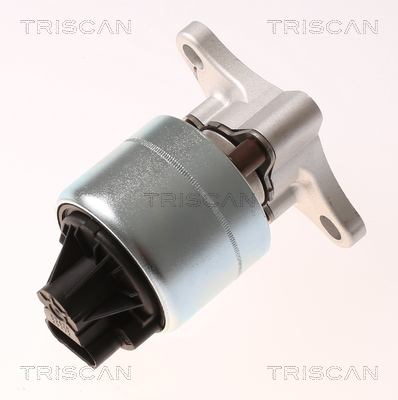 TRISCAN EGR szelep 881321026_TRIS