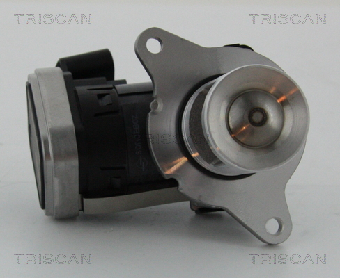 TRISCAN EGR szelep 881323006_TRIS