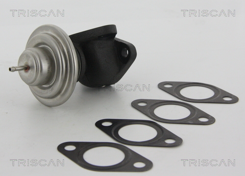 TRISCAN EGR szelep 881323013_TRIS