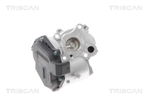 TRISCAN EGR szelep 881323015_TRIS